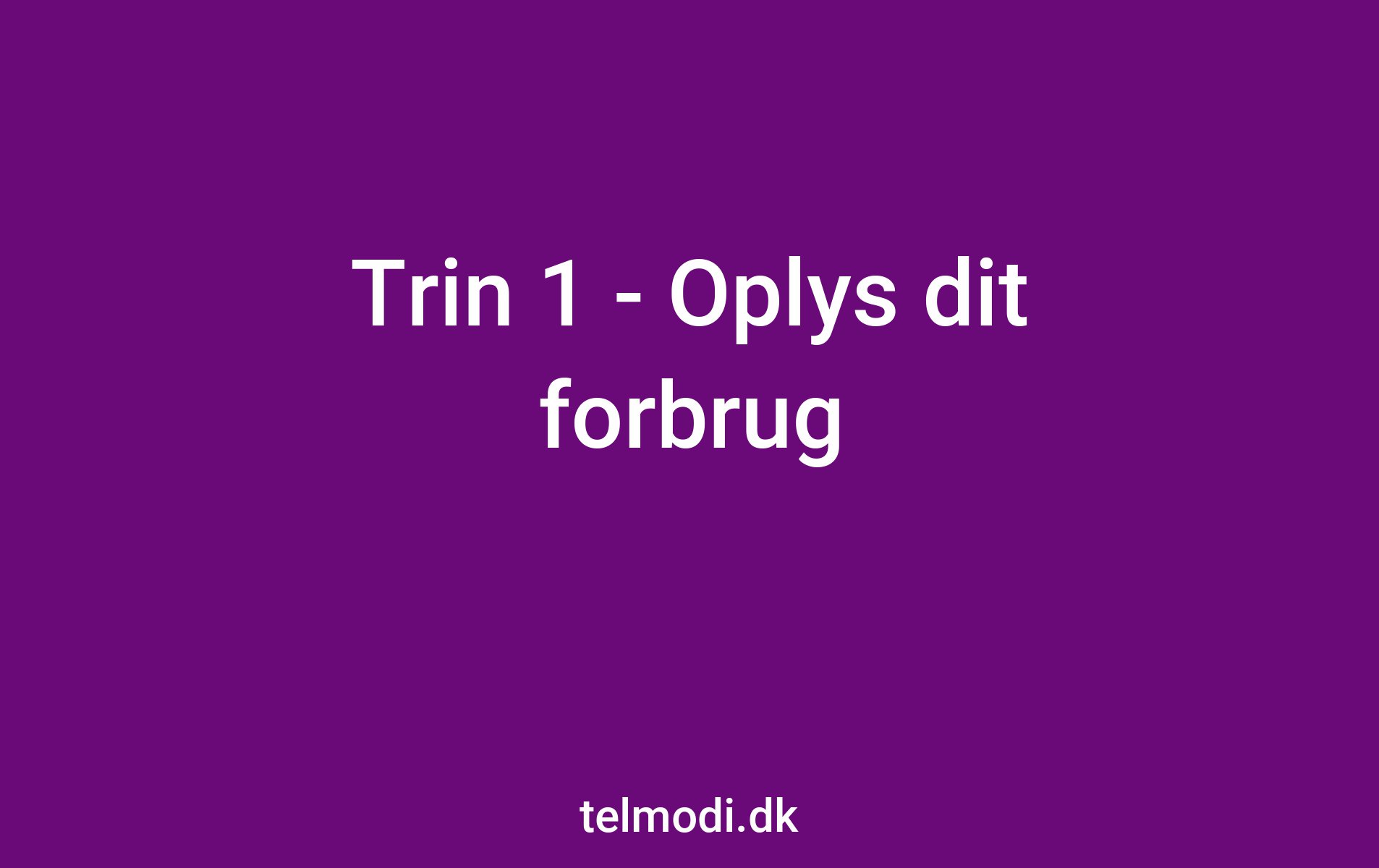 Trin 1 - Oplys dit forbrug